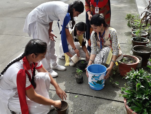  Glacier Public School Tunwala